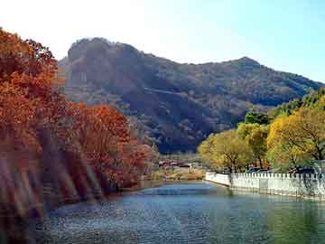 澳门二四六天天彩图库，黑客防线论坛